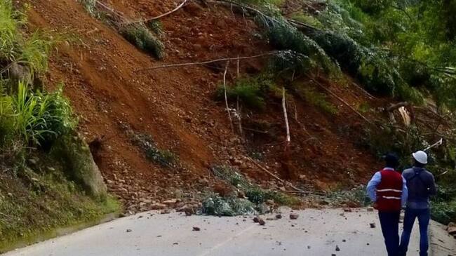 Salento, Calarcá, Córdoba, Buenavista, Pijao y Génova