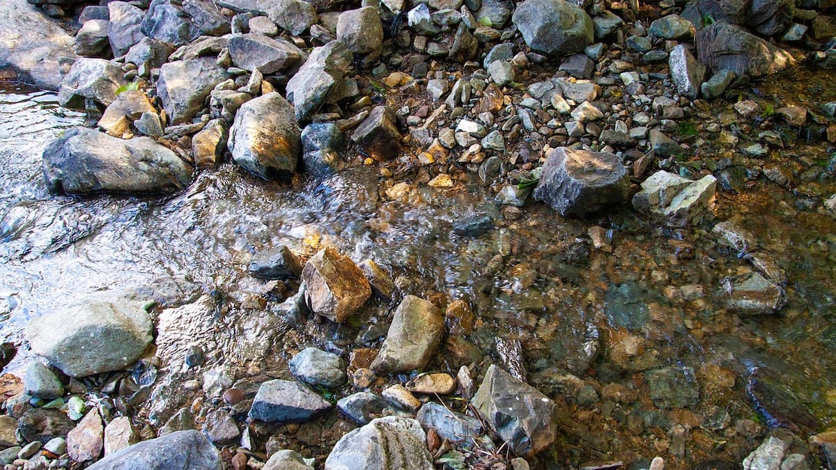 Autoridad ambiental actúa tras denuncias públicas sobre impacto de una reforestadora en Córdoba