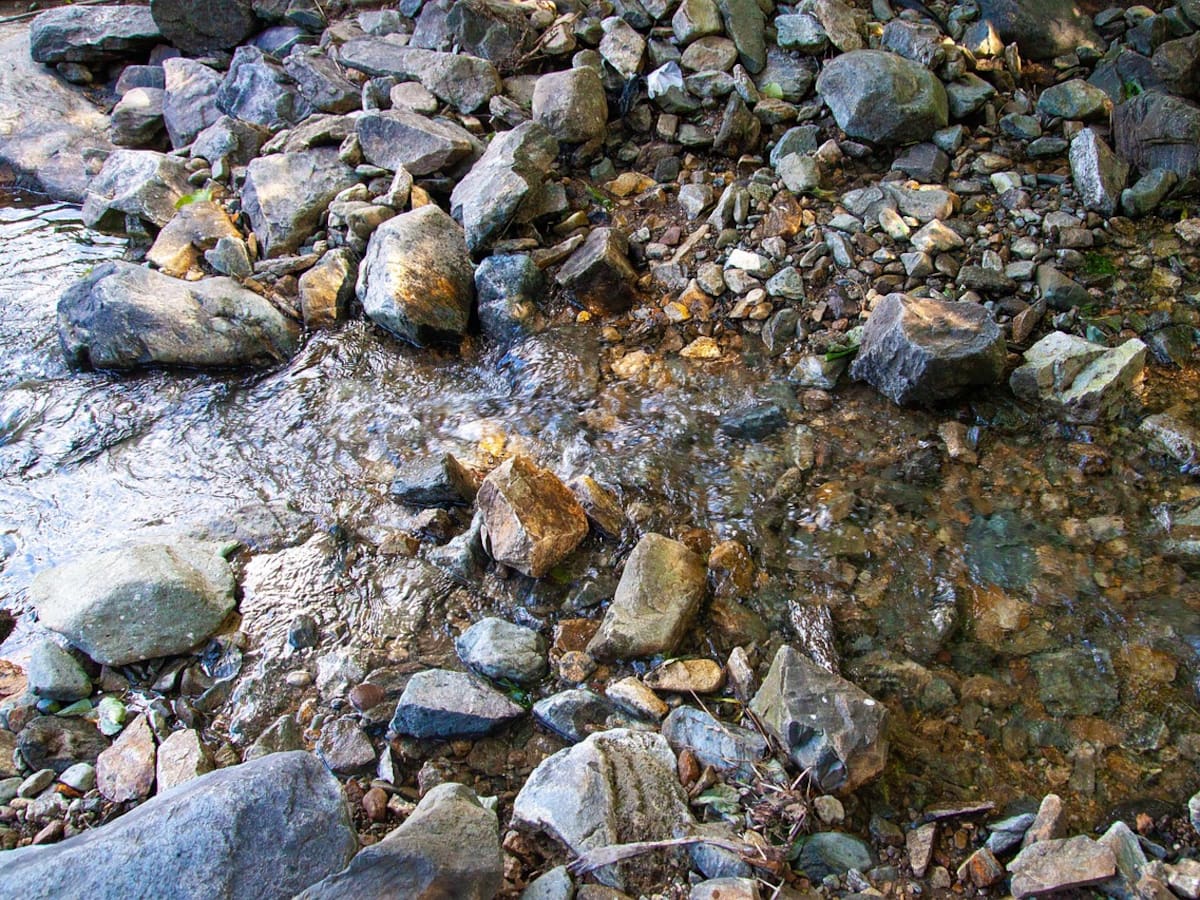 Autoridad ambiental actúa tras denuncias públicas sobre impacto de una reforestadora en Córdoba