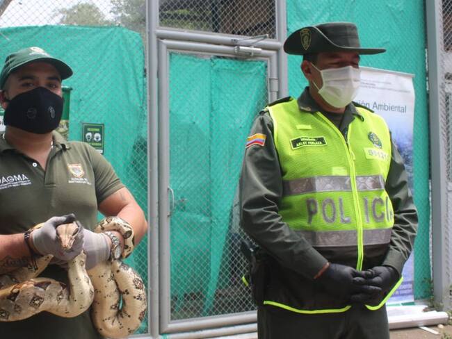 Más de 30 animales fueron rescatados, algunos iban a ser comercializados