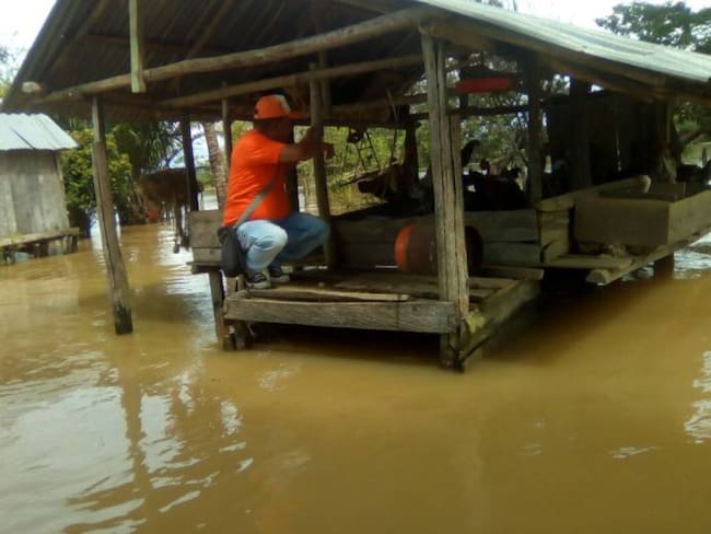 Más de 300 damnificados por lluvias en Caucasia, Antioquia