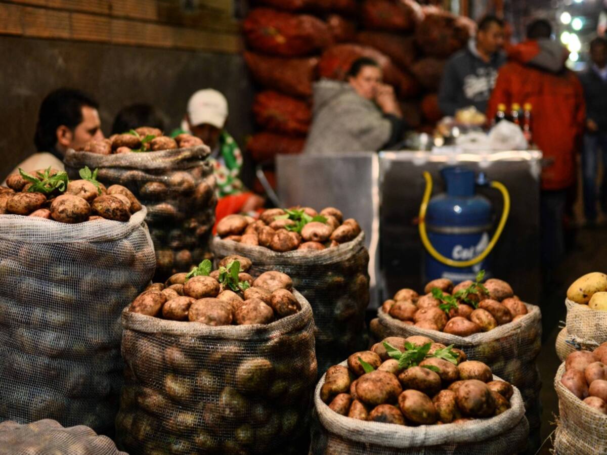 Tribunal Administrativo de Boyacá revocó cierre de la plaza Sogabastos