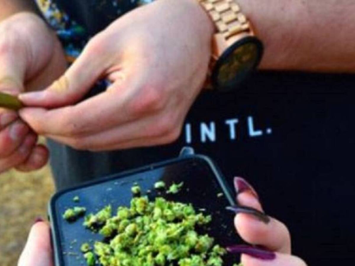 Conozca Massroots, el Facebook para consumidores de marihuana