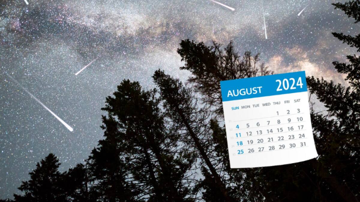 Calendario astronómico de agosto 2024: lluvia de meteoros, lunas y eventos celestes
