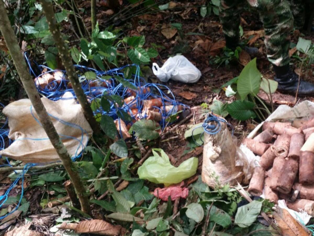 Antes del plebiscito las Farc destruirán explosivos en sus caletas del Yarí