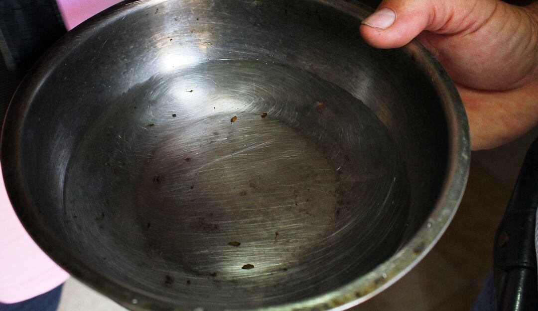 Según el concejal Pión la medida sugiere evitar un colapso en los servicios de salud