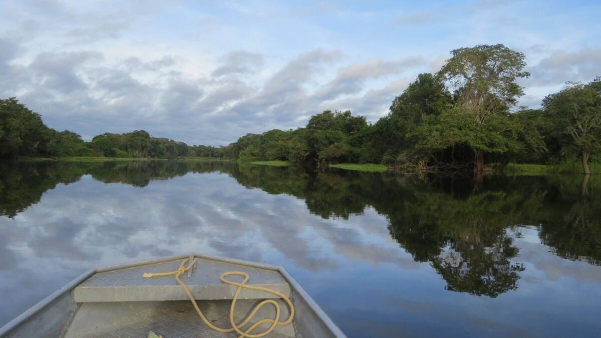 Qué viene para la conservación de la Amazonía