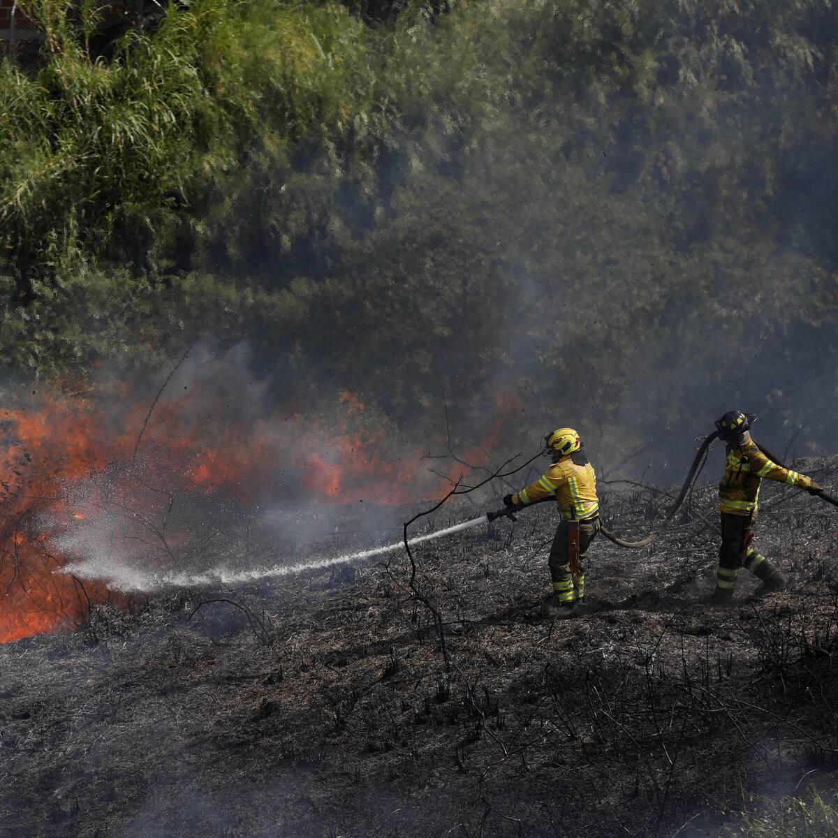 Más de 9,000 emergencias registradas en Colombia en 2024, incendios forestales los más frecuentes