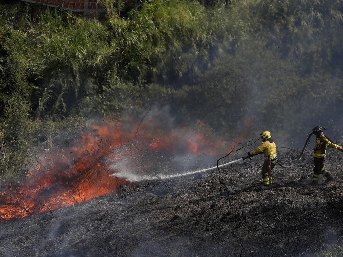 Hay 19 incendios forestales activos en Colombia: UNGRD