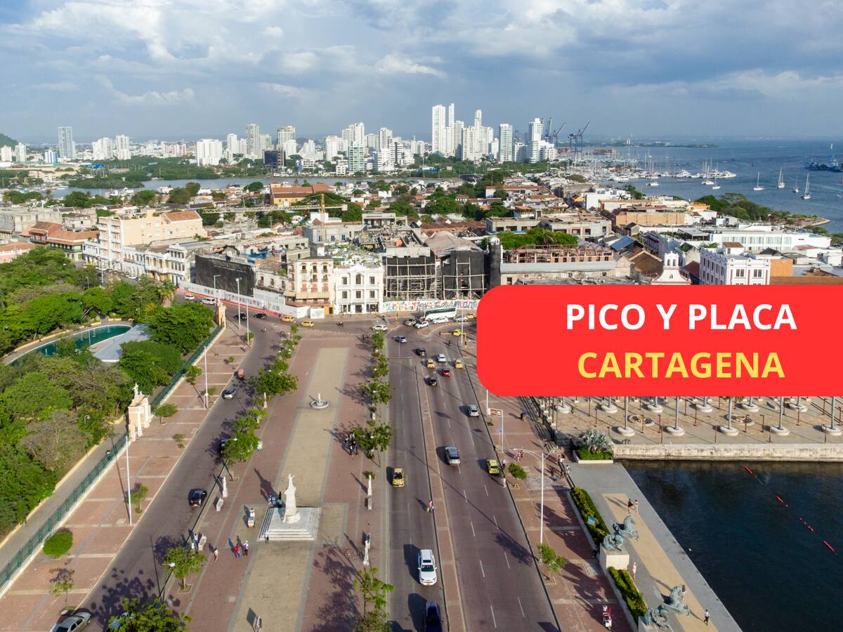 Pico y placa particulares en Cartagena del 23 al 27: ¿Dónde NO se puede transitar?