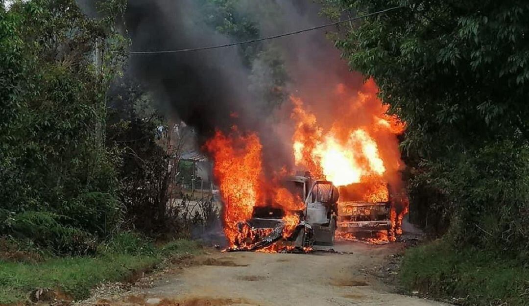 Cruce de San Alfonso entre Balboa y Argelia.
