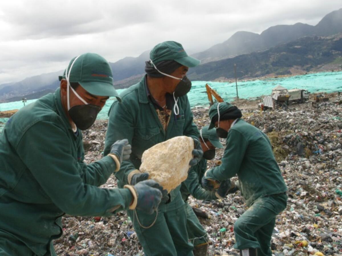 Alarma por aumento de moscas cerca de Doña Juana