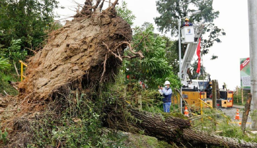 Afectaciones por las lluvias