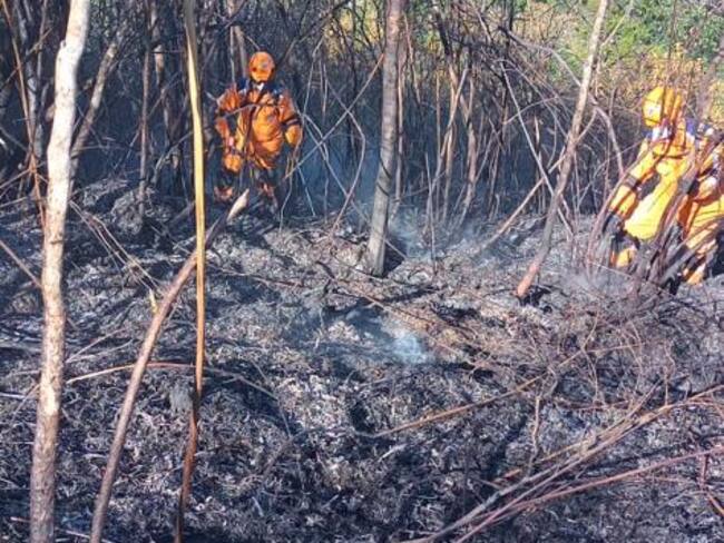 Cerca de 600 hectáreas consumidas por el fuego.