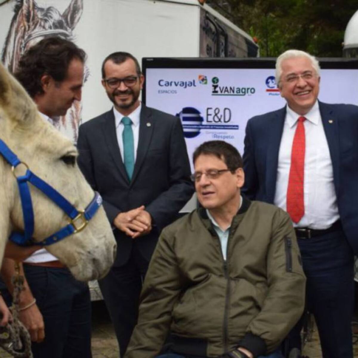 Un caballo de carga es un caballo maltratado