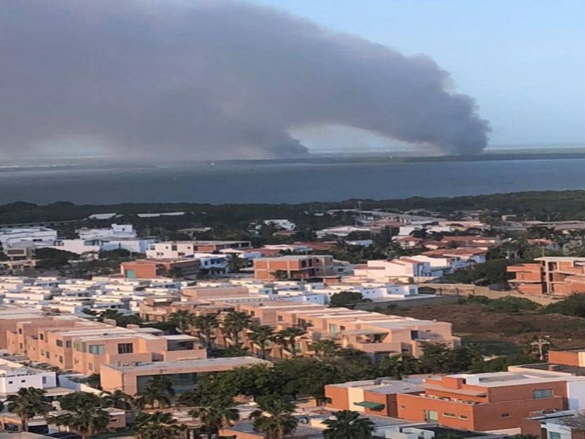 Nuevo incendio en el parque Isla Salamanca