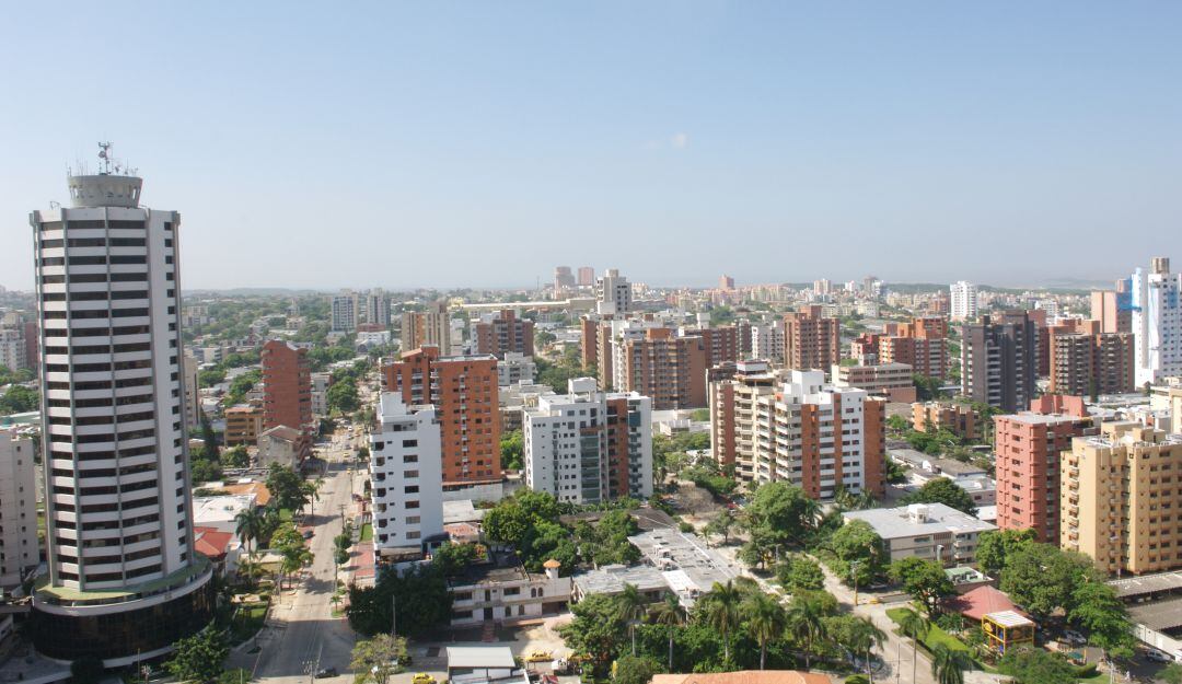 Imagen de referencia