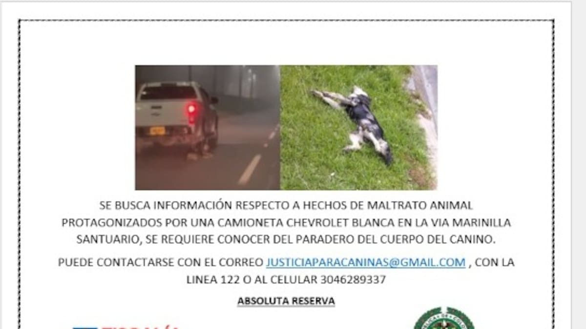 La Fiscalía busca judicializar a la persona que arrastró un perro en la vía Medellín