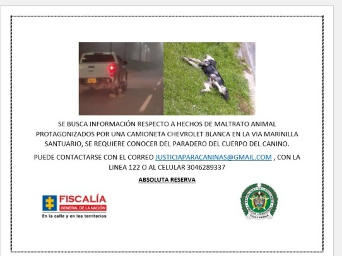La Fiscalía busca judicializar a la persona que arrastró un perro en la vía Medellín