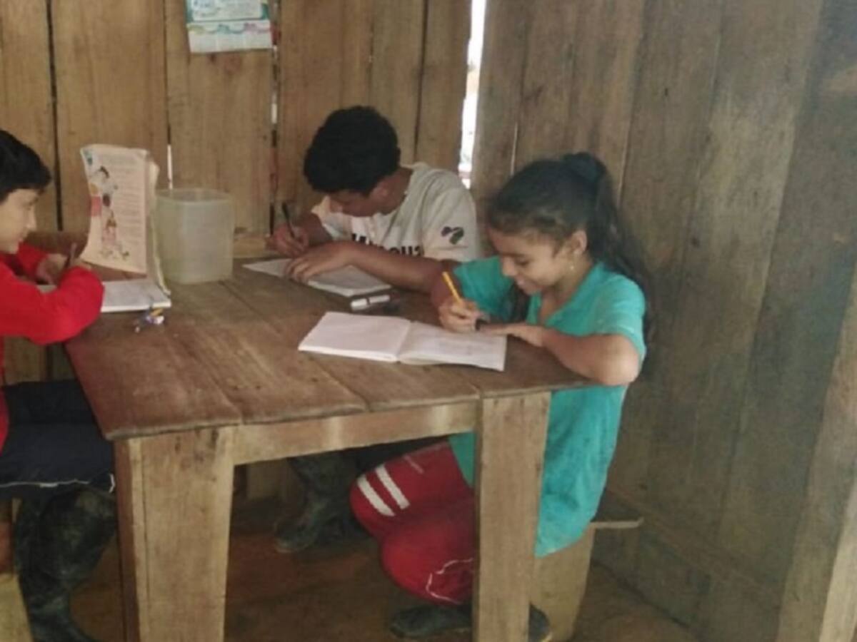 Difícil panorama educativo para docentes y estudiantes en zona rural