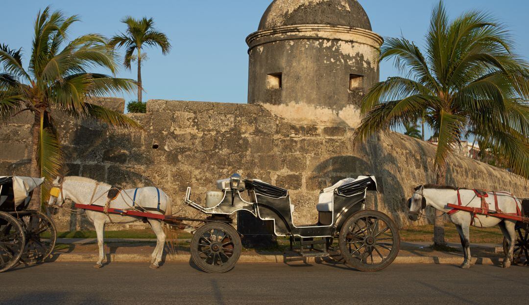 Plantón contra vehículos de tracción animal será este sábado en Cartagena