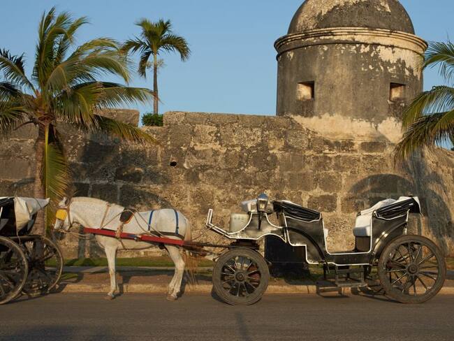 Plantón contra vehículos de tracción animal será este sábado en Cartagena