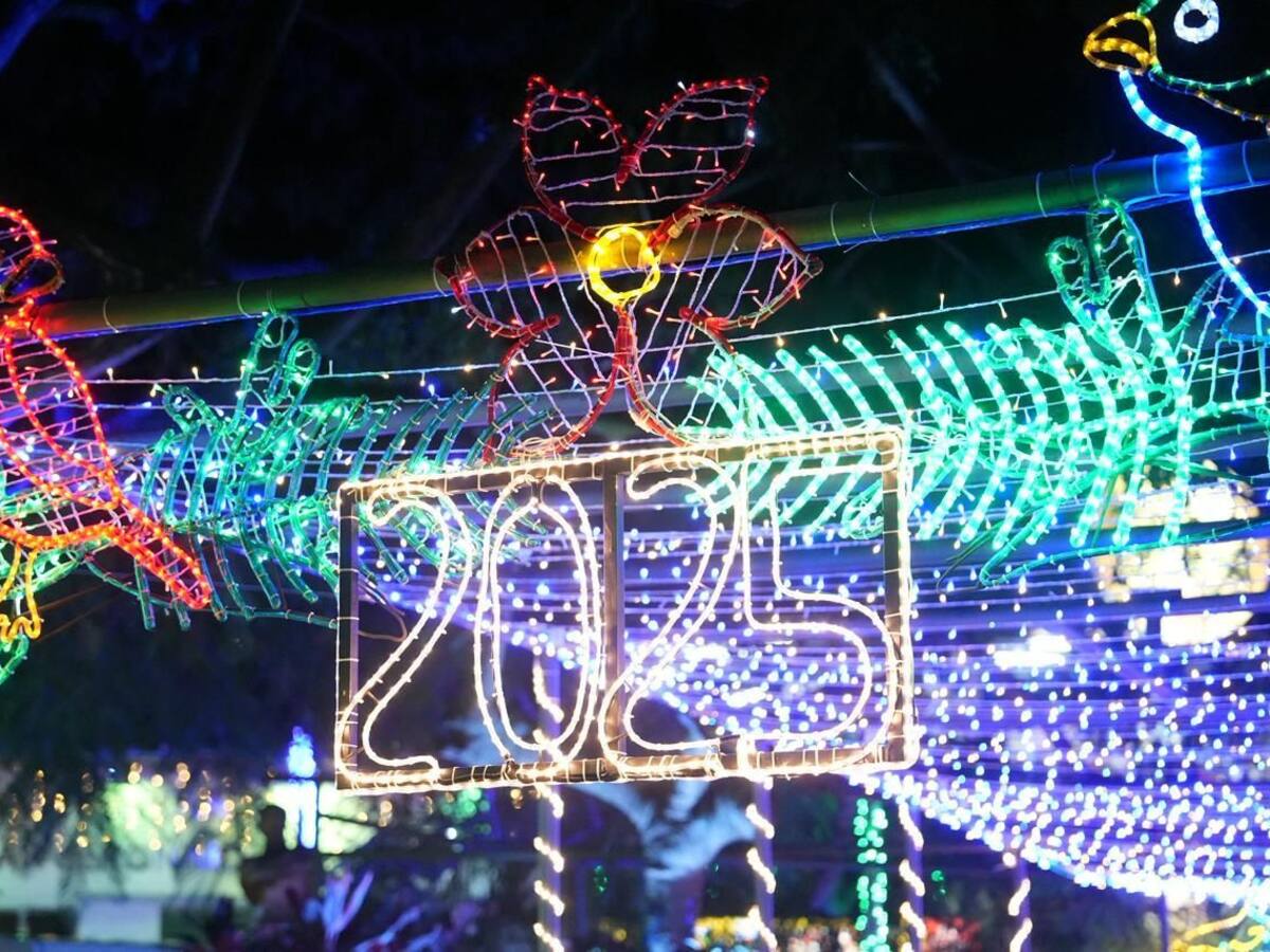 Recomendaciones del uso adecuado de luces LED durante la época navideña