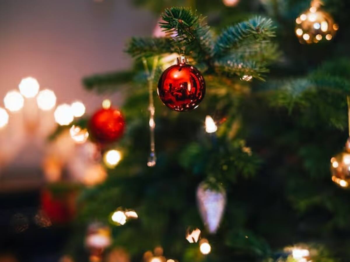 Tragedia en Armenia, un bebé de 9 meses falleció tras ingerir un adorno navideño