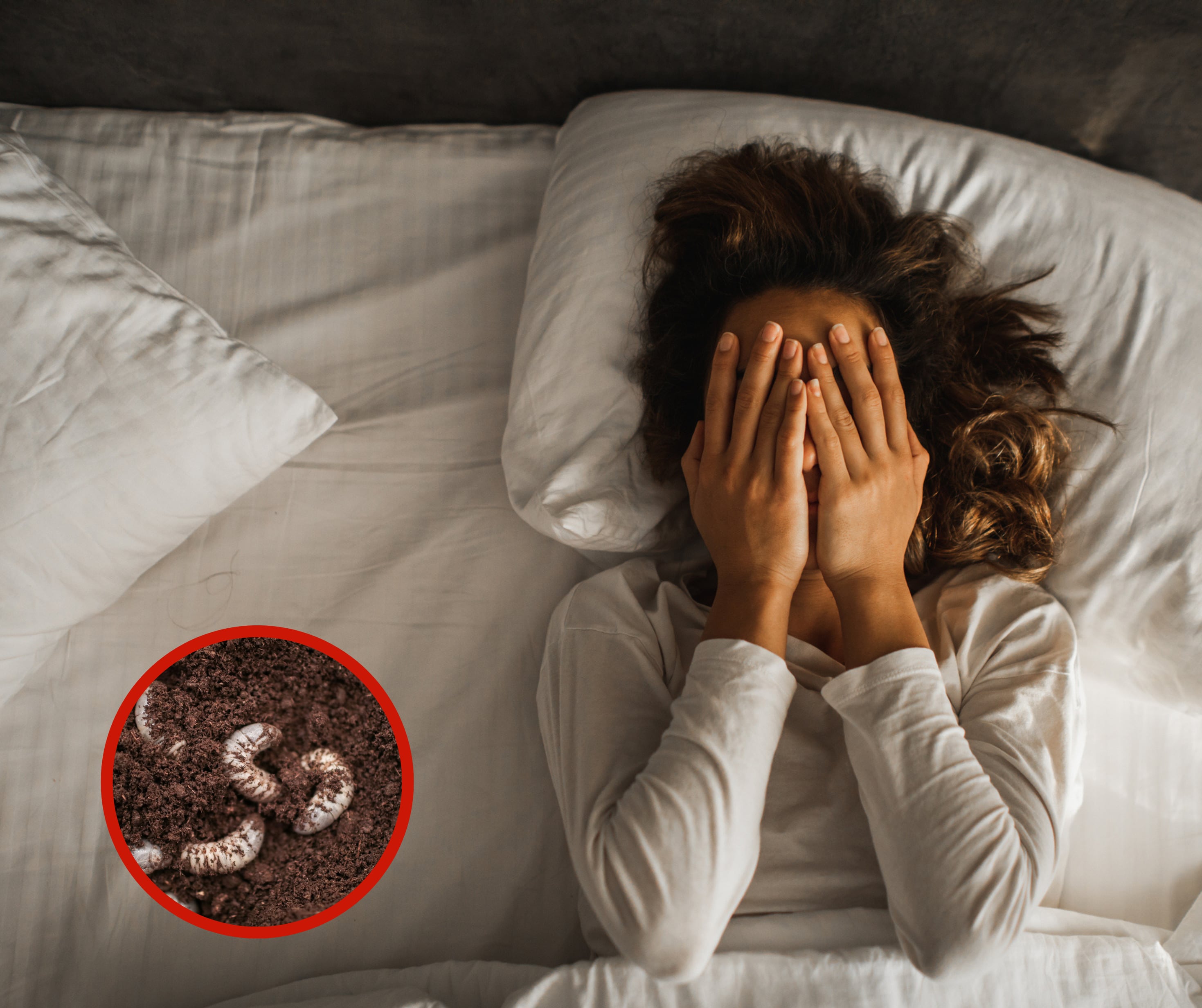 Mujer cubriendo sus ojos mientras está acostada junto a unos gusanos blancos (Fotos vía Getty Images)