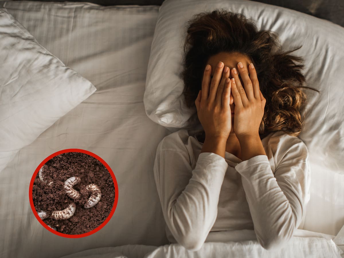 ¿Qué significa soñar con gusanos blancos? Se relaciona con el dinero y desafíos