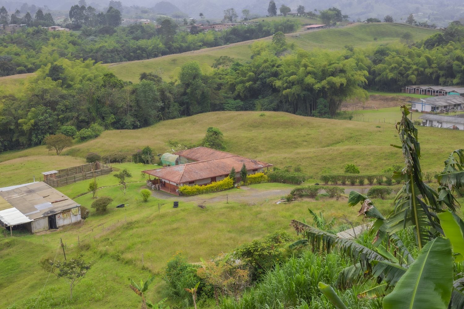 Foto: Alcaldía de Pereira