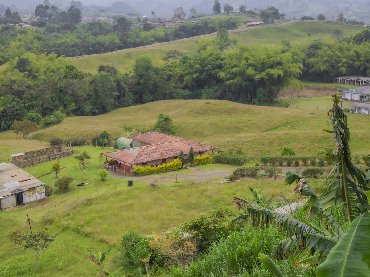 Sector turístico de Pereira preparado para recibir visitantes durante estas vacaciones