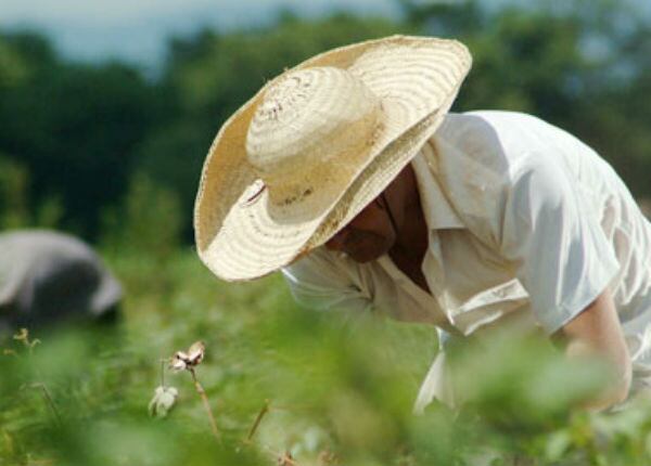 La situación de extorsión a esta población del Huila se viene reportando desde el pasado mes de mayo.
