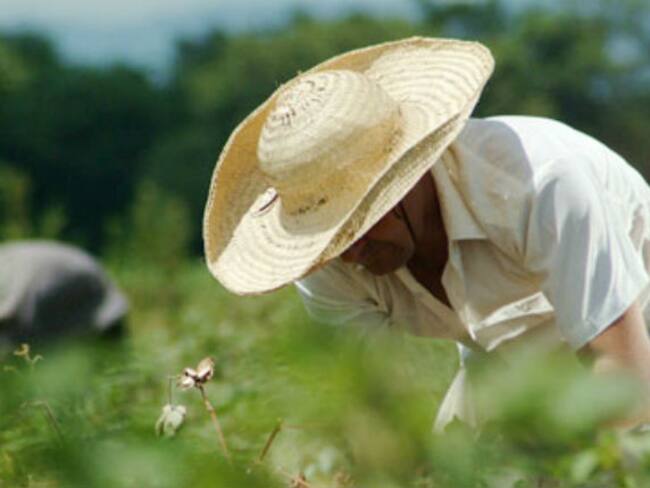 La situación de extorsión a esta población del Huila se viene reportando desde el pasado mes de mayo.