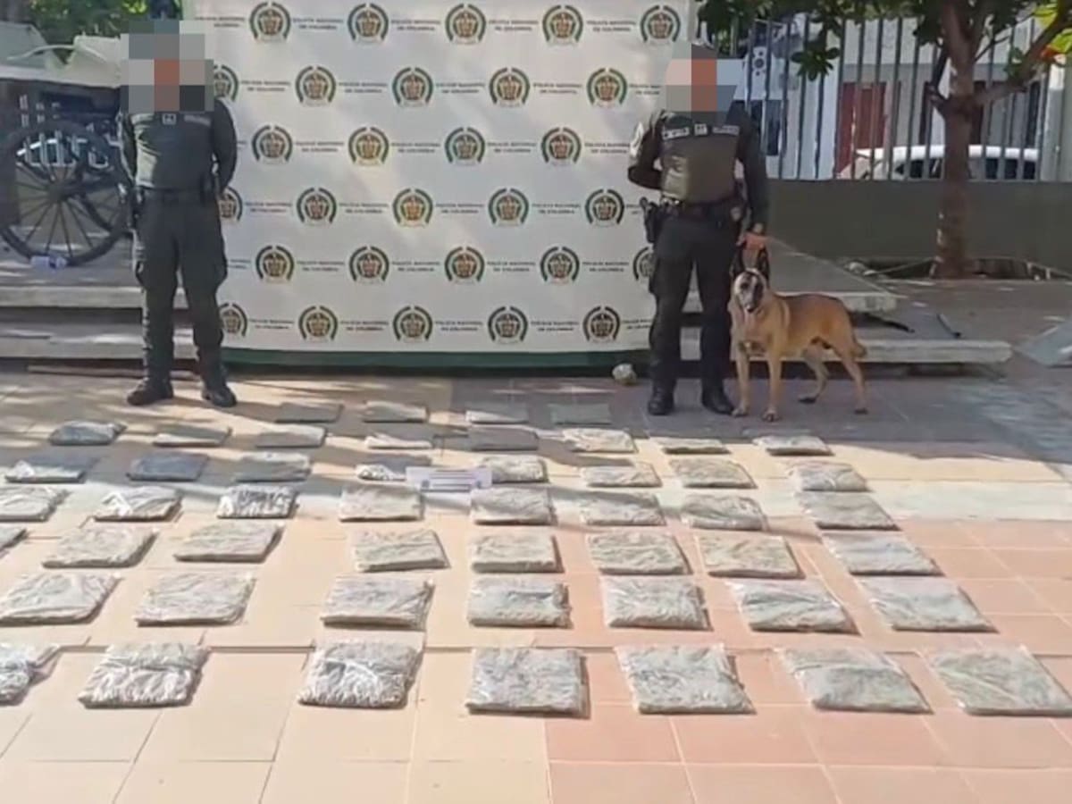 Más de 26 mil dosis de estupefacientes incautados en Cartagena con ayuda de canino ‘Killer’