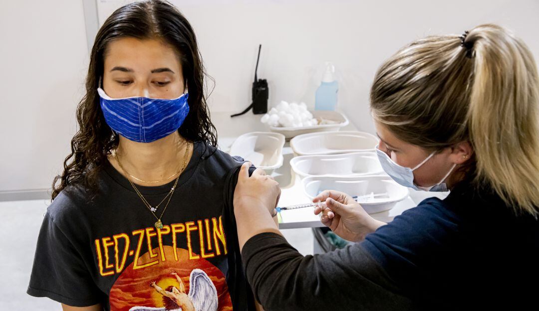 Imagen de referencia