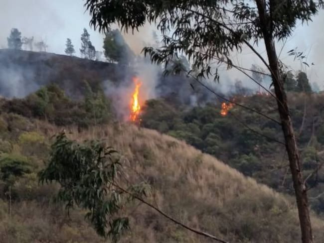 50 hectáreas afectadas por incendio forestal en Santa Rosa de Viterbo, Boyacá