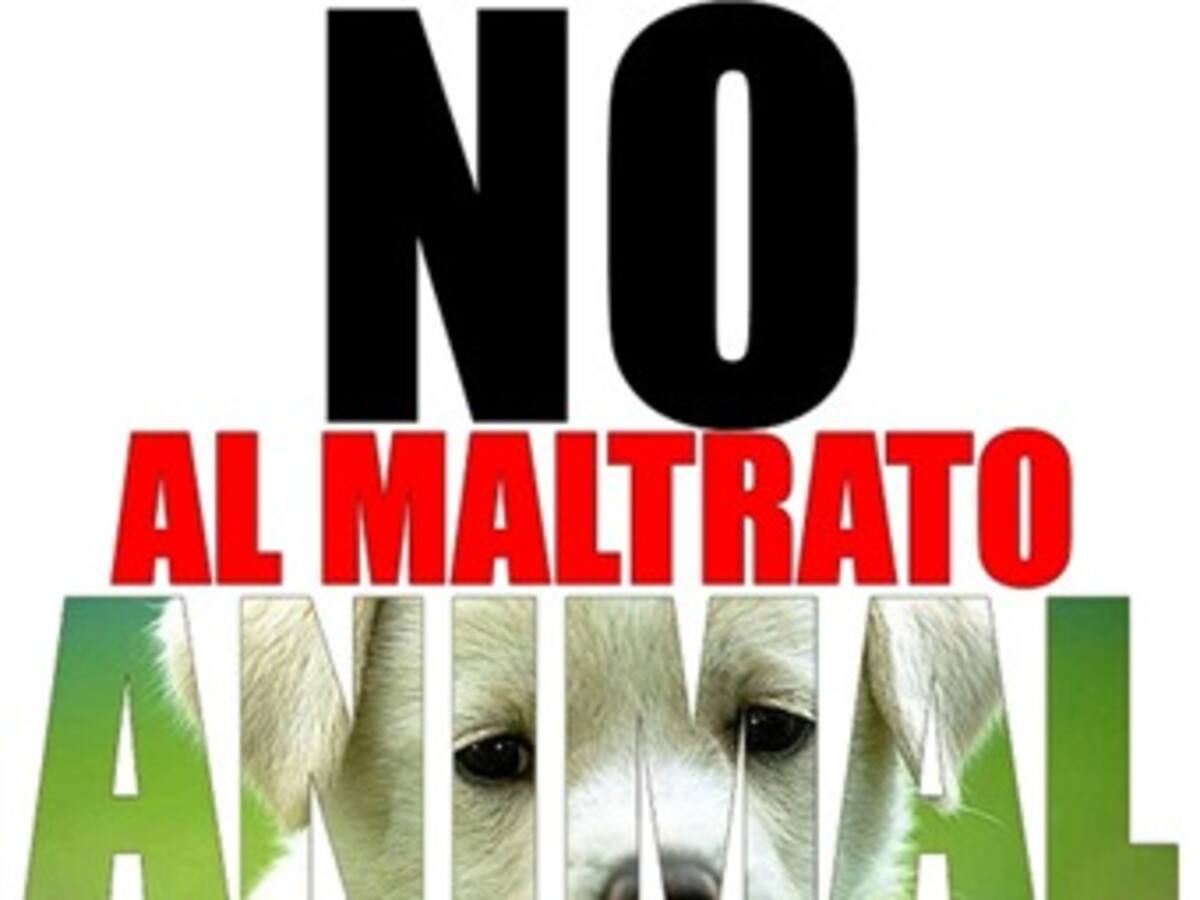 Campaña para promover leyes en la protección de los animales.