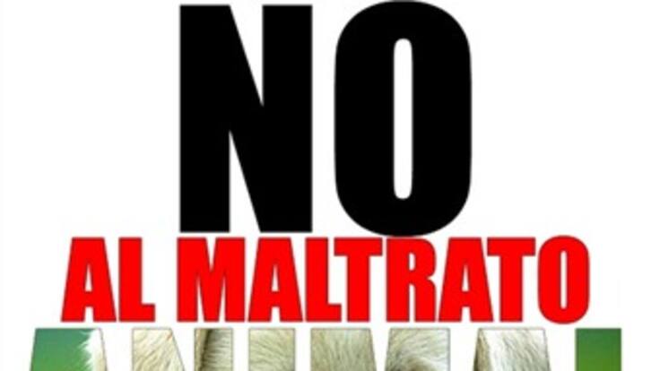 Campaña para promover leyes en la protección de los animales.