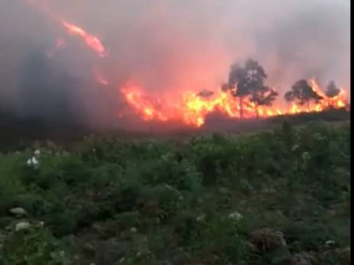 Emergencia por incendio forestal en el nuevo Gramalote