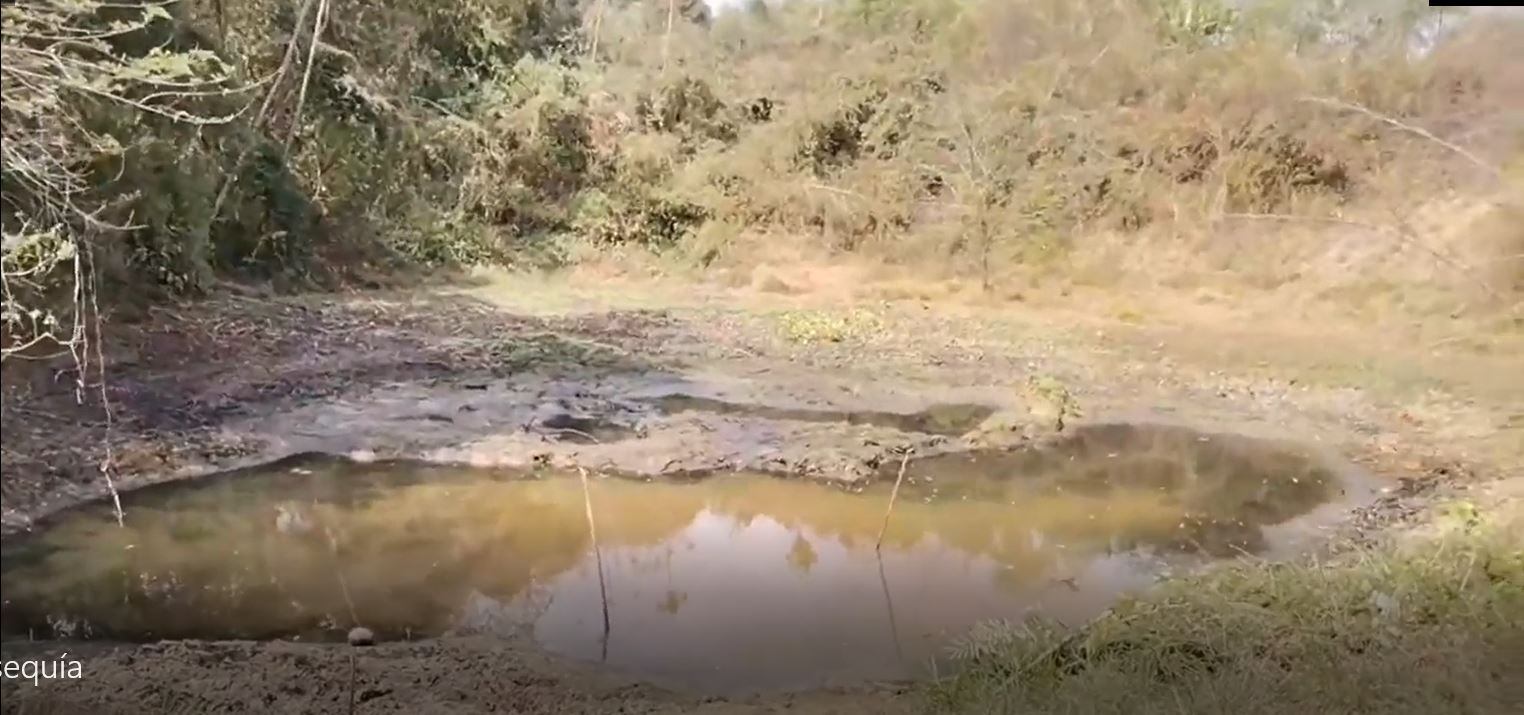 Sequía Urabá- foto cortesía