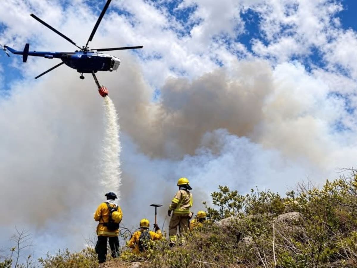 Liquidado el incendio en el Santuario de Fauna y Flora Iguaque tras siete días de emergencia