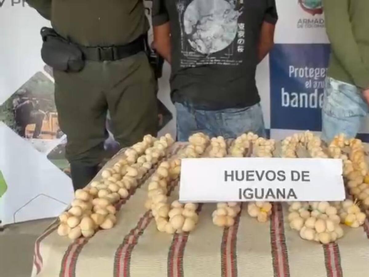 Policía de Bolívar rescata 600 hicoteas y captura a 12 personas por tráfico de fauna silvestre