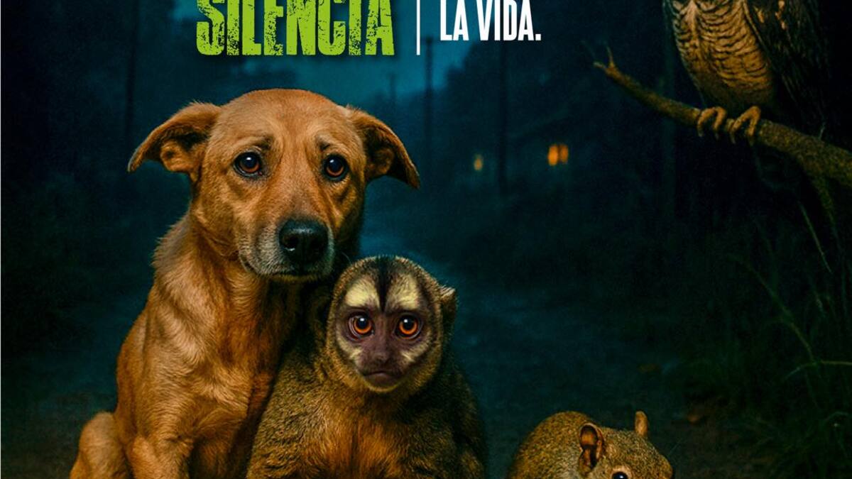 Juan Esteban Cortés, director CRQ