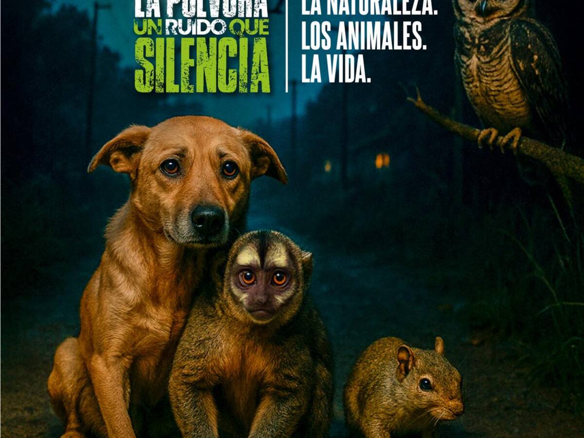 “La Pólvora, un Ruido que Silencia” campaña de la autoridad ambiental en Quindío en día de velitas