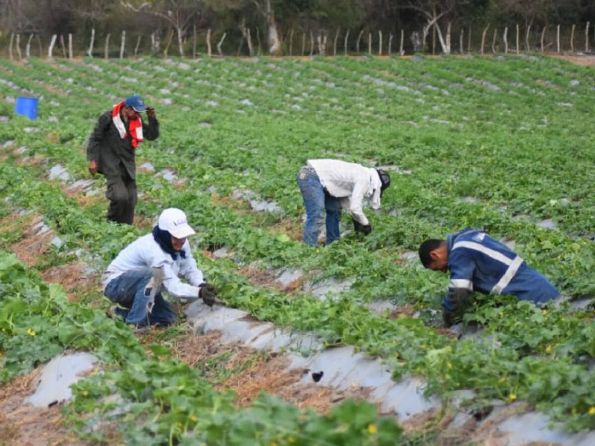 Atlántico priorizará la reactivación económica de su campo