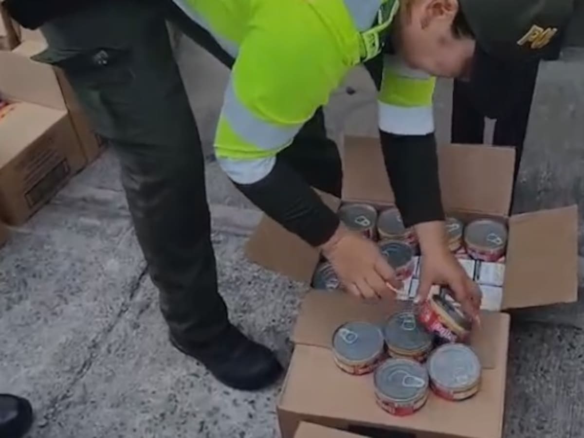 En vías de Cali decomisan cargamentos del narcotráfico ocultos en fibra de vidrio, atún y arroz