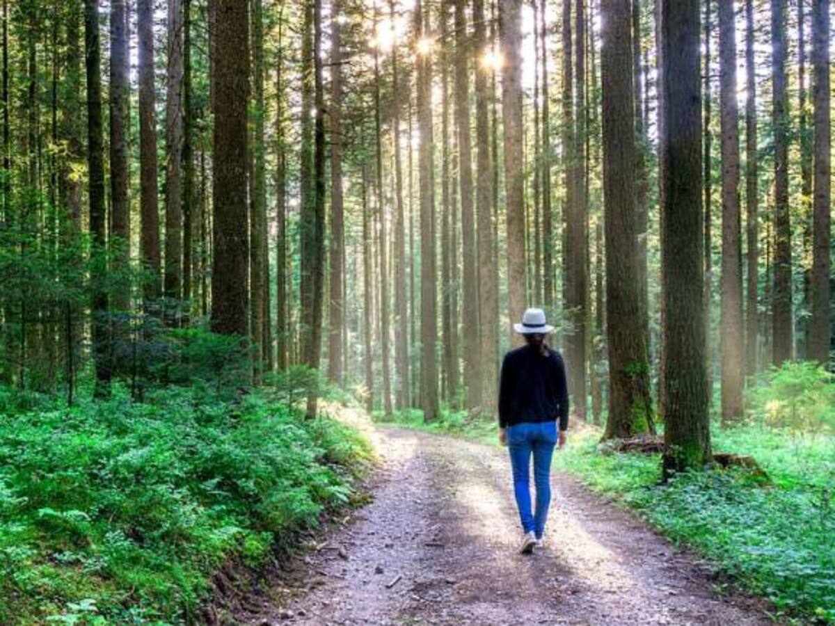 Biodiversidad: factor clave para emprender en Colombia