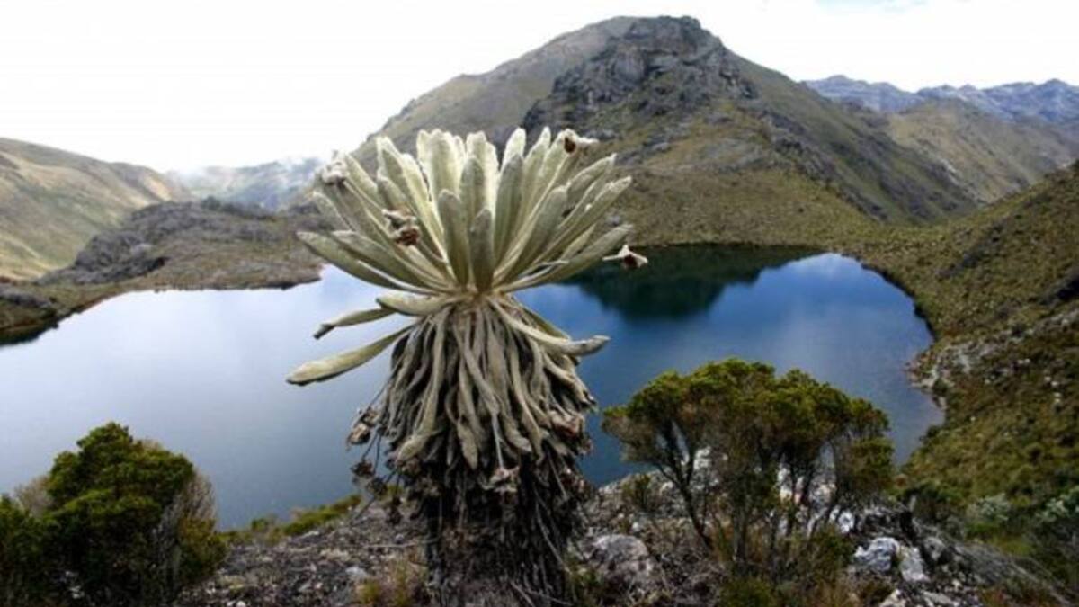 Ministerio público reitera queja contra MinAmbiente por delimitación de Santurbán