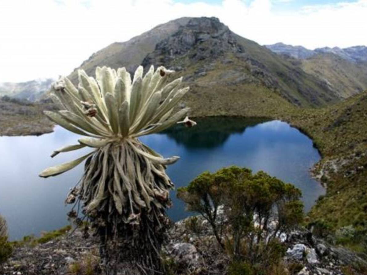 Ministerio público reitera queja contra MinAmbiente por delimitación de Santurbán